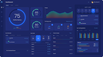 Custom website design by Webcapitan, example 2