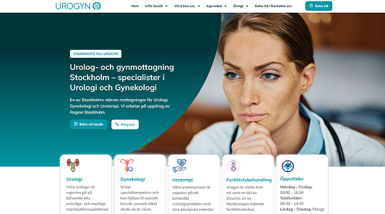 Website built on a ready-made theme, example 1
